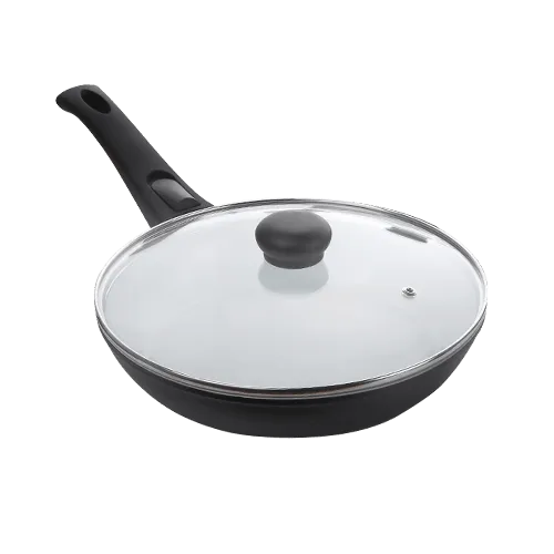 The 10 inch frying pan with its lid